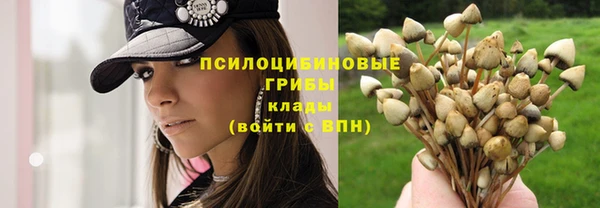Альфа ПВП Липки