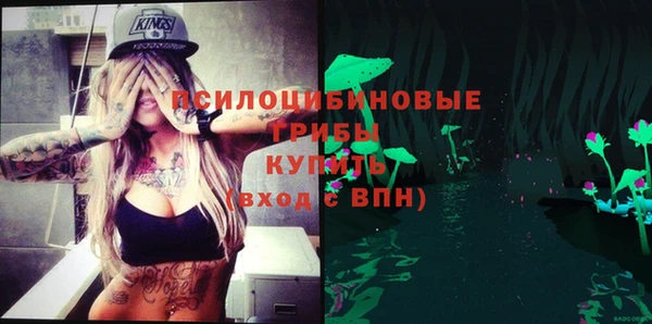 Альфа ПВП Липки