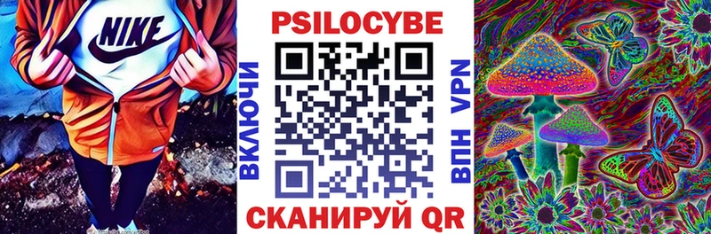 Псилоцибиновые грибы MAGIC MUSHROOMS  мега онион  Эртиль 